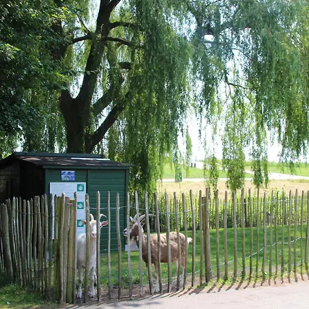 別荘 Pet-friendly Rural Escape *